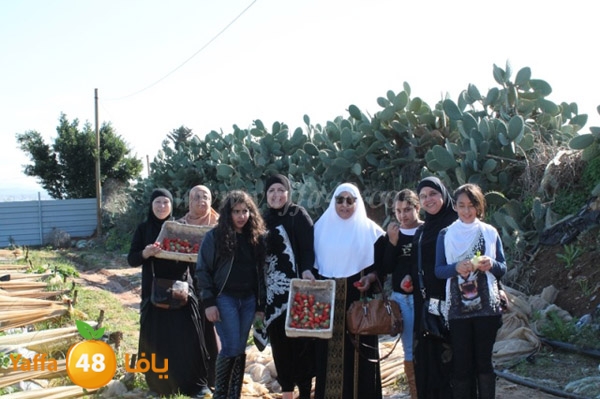 re7la tolkarem (62).JPG